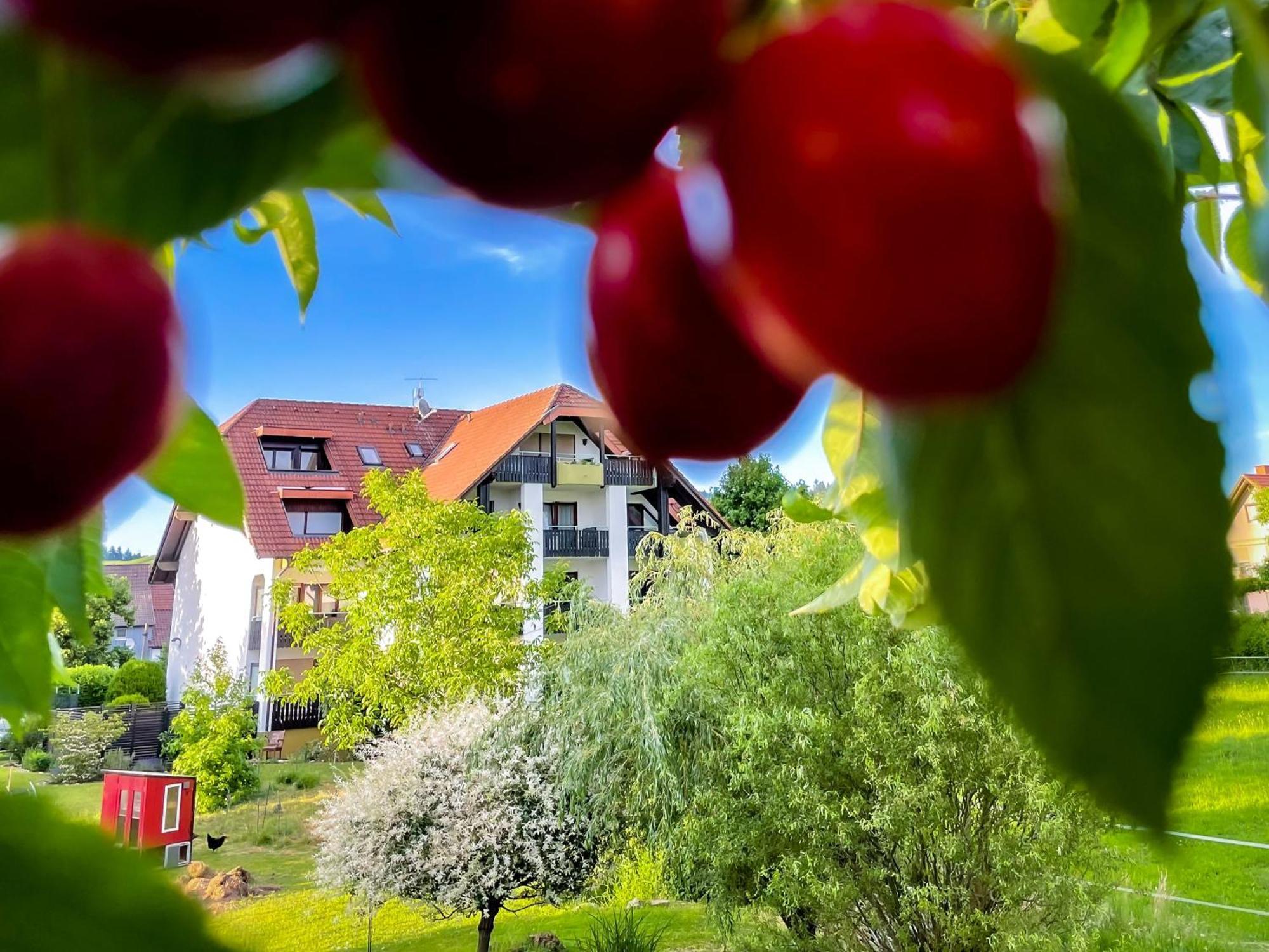 Gasthaus Hirschenstube & Gaestehaus Gehri Waldkirch Eksteriør bilde